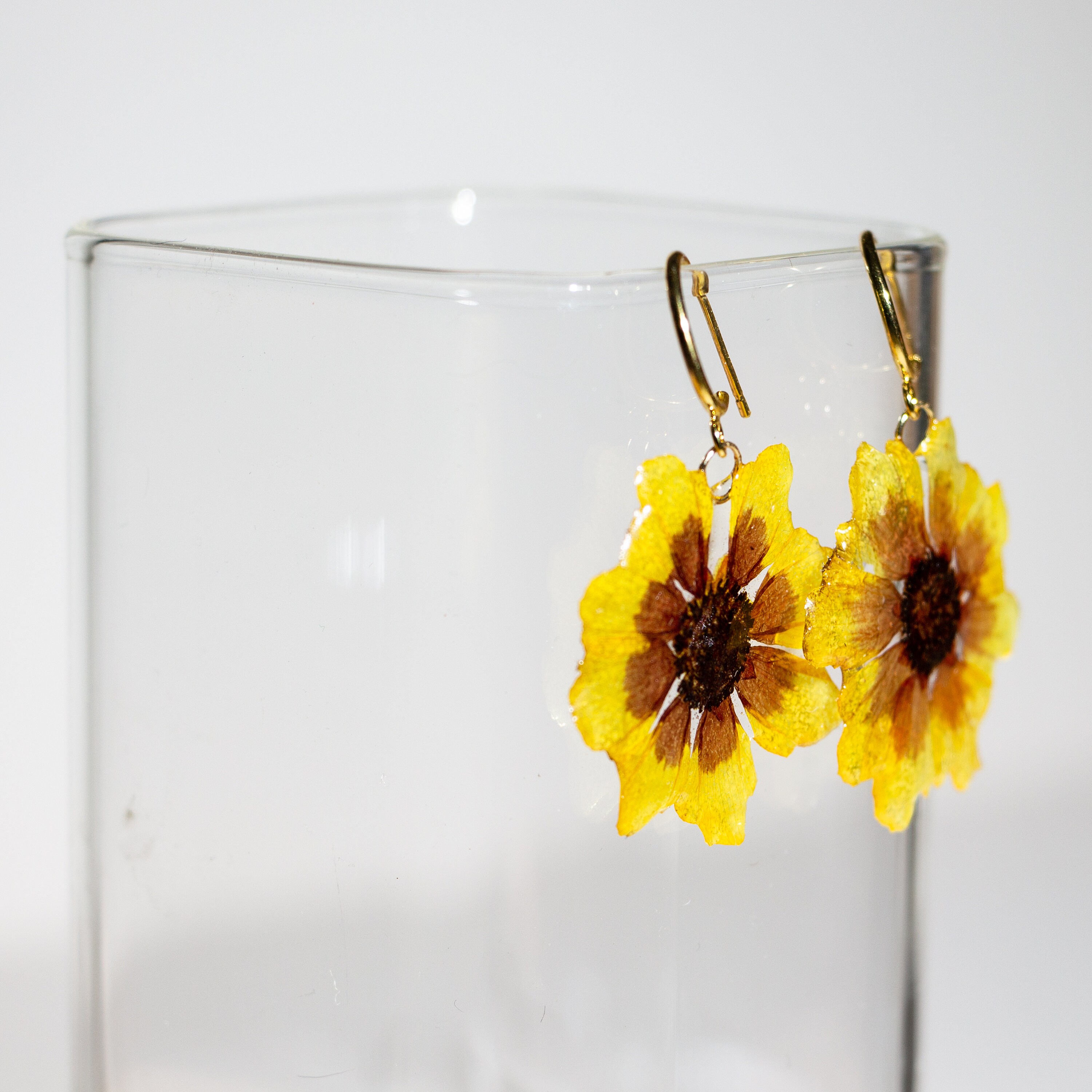 Pressed Daisy Flower Resin Earrings Real Flower Earrings Etsy
