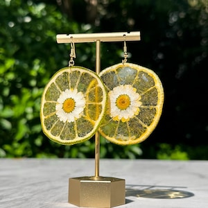 May include: A pair of gold dangle earrings featuring dried lime slices with a pressed white daisy flower in the center. The earrings are displayed on a gold stand.