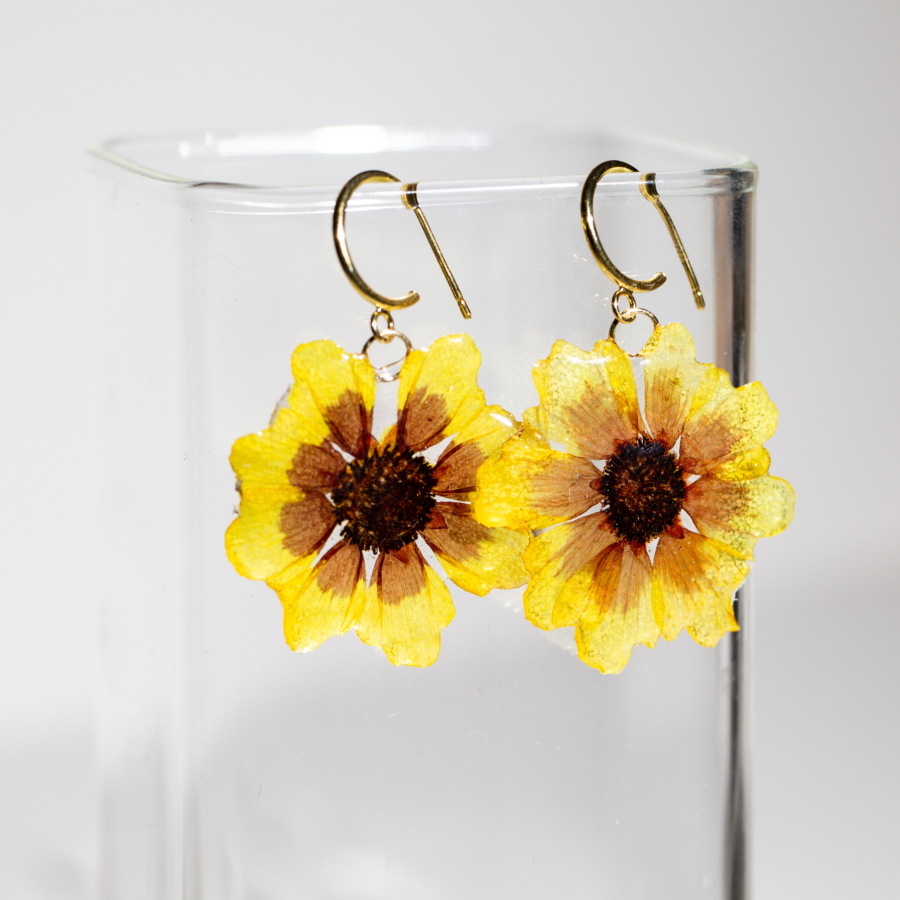 Pressed Daisy Flower Resin Earrings Real Flower Earrings Etsy