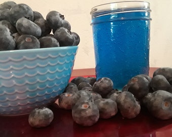Blueberry Scented Gel Wax Candle