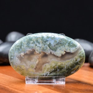 XL Plume Agate Palm, Scenic Indonesian Java Mineral | Collector Specimen | 92  g | 78.9x49.3x16.5 mm