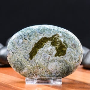 Plume Agate Palm Stone | Scenic Landscape-Like Patterning | Mirror-Like Polish | Indonesian Specimen From Java Island