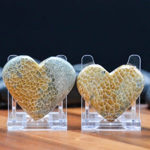 May include: Two heart-shaped stones with a textured, honeycomb-like pattern in shades of tan and gray. Each stone is displayed on a clear acrylic stand. The background is dark, and the stones are on a wooden surface.