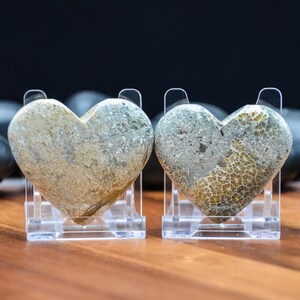 May include: Two heart-shaped stones with a natural, textured appearance. The stones are displayed on clear acrylic stands. The colors are primarily gray, beige, and brown, with visible patterns and variations in the stone's surface.