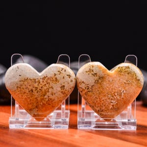 May include: Two heart-shaped stones with a coral-like pattern, displayed on clear acrylic stands. The stones have a gradient of tan to orange hues, with intricate details. The background is dark, highlighting the stones.