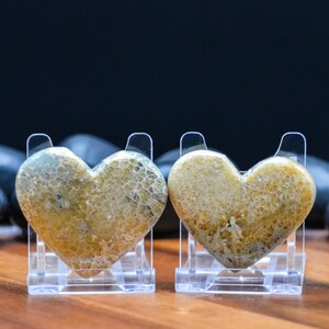 May include: Two heart-shaped stones with a textured surface, displayed on clear plastic stands. The stones have a mix of yellow, tan, and gray tones. The background is dark, with a wooden surface in the foreground.