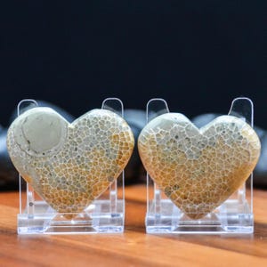 May include: Two heart-shaped stones with a textured, mosaic-like pattern in shades of tan and gray. Each heart is displayed on a clear plastic stand. The background is dark, and the surface is a warm brown.