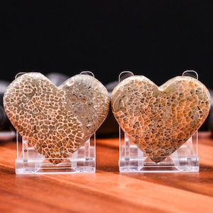 May include: Two heart-shaped stones with a mosaic-like pattern in shades of brown and beige. The stones are displayed on clear acrylic stands, set against a dark background and a wooden surface.