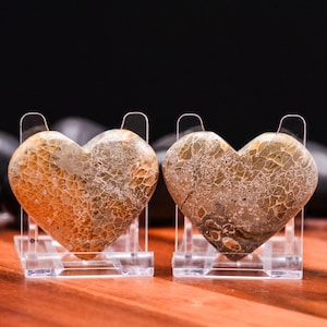 May include: Two heart-shaped stones with unique patterns and colors. One stone is a warm orange-brown, the other is a cool gray-brown. Both are displayed on clear acrylic stands, perfect for home decor or as a gift.