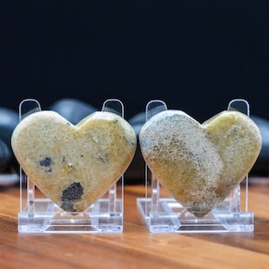 May include: Two heart-shaped stones, each displayed on a clear acrylic stand. The stones have a beige and tan color with a textured surface. One stone has a dark spot. The background is dark, and the surface is wooden.