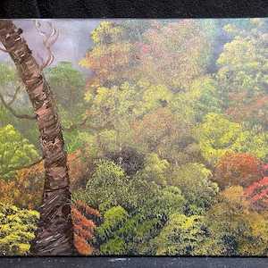 Autumn Forest Edge
