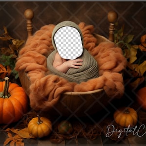 May include: A newborn baby swaddled in a gray blanket is nestled in a wooden bowl filled with orange faux fur. The bowl is surrounded by fall foliage and pumpkins.