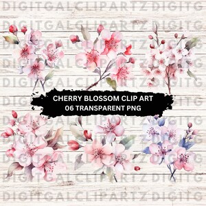 Aquarell Kirschblüten Clip Art - 06 Transparente PNG Dateien - Digitaler Download - Japanische Sakura Blumen - 1206