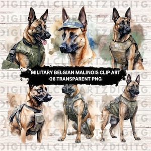 Watercolor Belgian Malinois Clip Art- 06 Transparent PNG files - Digital Download -  Military Belgian Malinois Cute Dog Illustration - 1191