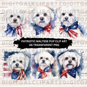 Watercolor Patriotic Maltese Clip Art- 06 Transparent PNG files - Digital Download -  Dog Patriotic Maltese Pup Fur Baby - 1122