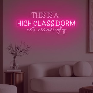 This Is A High Class Dorm Neon Sign,Dorm Room Sign,College Wall Decor,Apartment Decor,Funky Wall Art, Bedroom Wall Sign