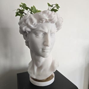 Puede incluir: Busto blanco de una figura masculina clásica, utilizado como maceta. Plantas verdes y frondosas brotan de la parte superior de la cabeza. El busto se coloca sobre una superficie negra contra una pared blanca.