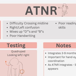 May include: A light pink infographic with the title "ATNR" and a drawing of a baby. The infographic lists symptoms, testing methods, and notes related to ATNR, including difficulty crossing midline and poor reading skills.