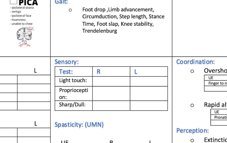 PT Stroke Evaluation Template - Etsy