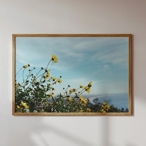 35 mm filmfotografie print || Los Angeles || Gele bloemen