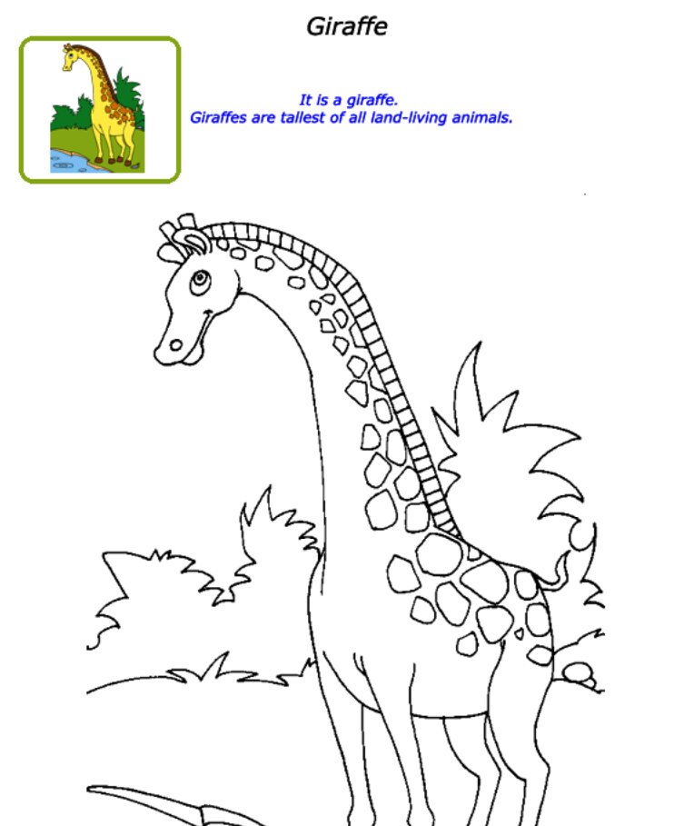 20 Easy Coloring Pages for Kids, Preschoolers Coloring Book Pages ...