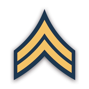 May include: A gold chevron with two stripes, outlined in dark blue. This is a military rank insignia.