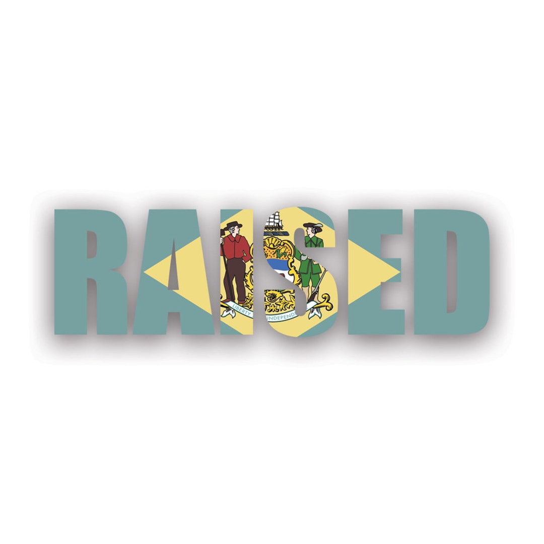 Delaware Raised State Flag Sticker - Decal - American Made - UV ...