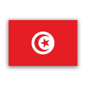 Tunisian Flag Sticker - Decal - American Made - UV Protected tunisia tun tn