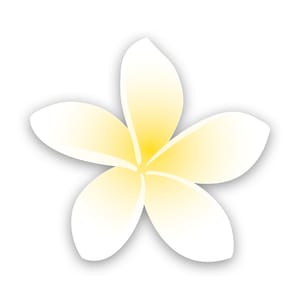 Plumeria Sticker - Decal - American Made - UV Protected flower flowers flowering rauvolfioideae