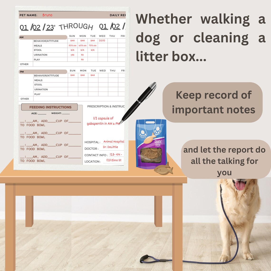 Pet Sitting Planner & Guide|pet Sitting Report Bundle| Dog Walking ...