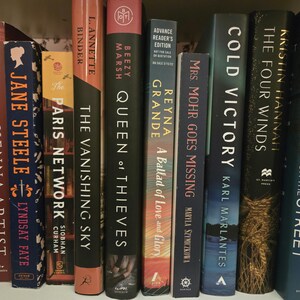 May include: A bookshelf with a variety of books, including "The Henna Artist" by Alka Joshi, "Queen of Thieves" by Beezy Marsh, "The Vanishing Sky" by L. Annette Binder, "Cold Victory" by Karl Marlantes, and "The Last House on the Street" by Diane Chamberlain.