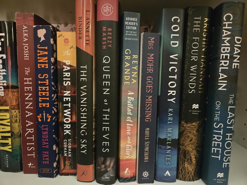 May include: A bookshelf with a variety of books, including "The Henna Artist" by Alka Joshi, "Queen of Thieves" by Beezy Marsh, "The Vanishing Sky" by L. Annette Binder, "Cold Victory" by Karl Marlantes, and "The Last House on the Street" by Diane Chamberlain.