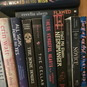 May include: A bookshelf with a variety of books, including "Wicked as You Wish" by Rin Chupeco, "Flawed" by Cecelia Ahern, "These Vengeful Hearts" by Katherine Laurin, "Hold Me Closer, Necromancer" by Lish McBride, "The Novice" by Taran Matharu, and "Such a Fun Age" by Kiley Reid.