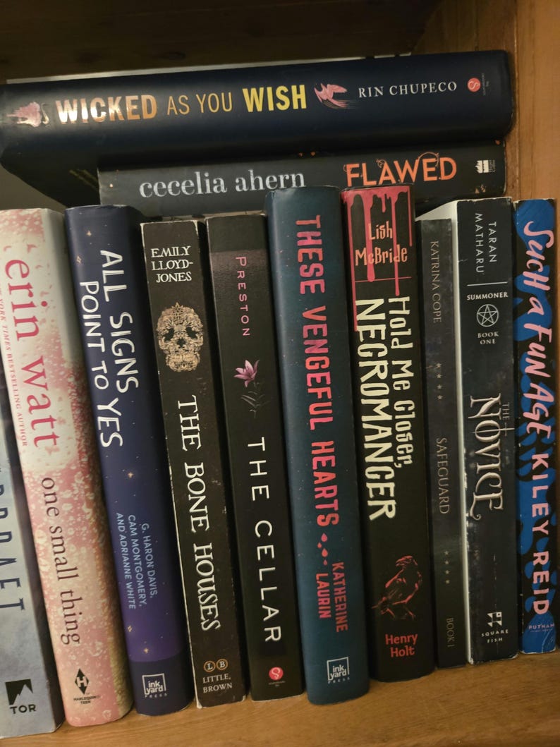 May include: A bookshelf with a variety of books, including "Wicked as You Wish" by Rin Chupeco, "Flawed" by Cecelia Ahern, "These Vengeful Hearts" by Katherine Laurin, "Hold Me Closer, Necromancer" by Lish McBride, "The Novice" by Taran Matharu, and "Such a Fun Age" by Kiley Reid.