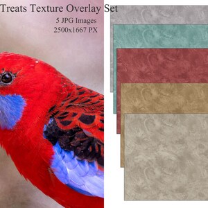 5 Color Fine Art Textures - Color Fine art texture overlays - Fine are texture overlays - Fine art texture overlays for photoshop - Overlays