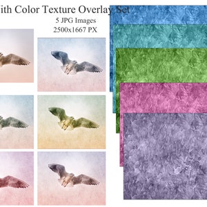 Paint With Color Texture Overlay - Fine Art Texture overlays - Texture Backround - Texture Overlays for photoshop - Digital texture paper