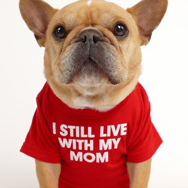 I Still Live With My Mom Dog Tee - Favorite Funny Gift Dad Mom Frenchie French Bulldog Pug Puppy Pet Cat Jumper Top Jersey Costume T-Shirt