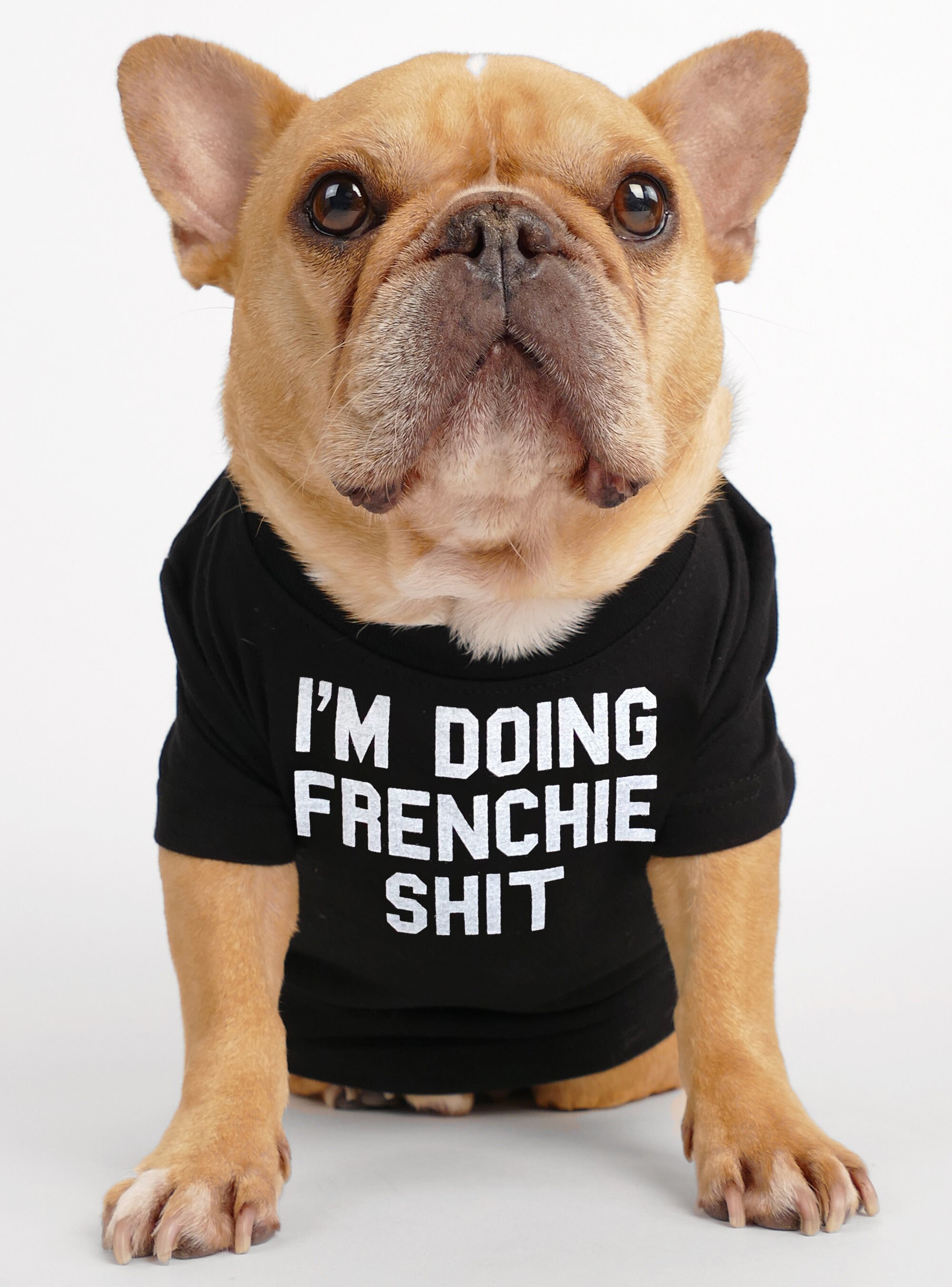 I m Doing Frenchie Shit Dog Tee Favorite Funny Gift Dad Mom Frenchie French Bulldog Pug Puppy Pet Cat Dog Jumper Top Sweater T shirt Etsy Israel