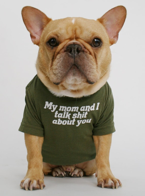 Funny Dog Shirt, My Dog And I Talk Shit About You, Gift Funny Dog Shirt, My Dog And I Talk Shit About You, Gift