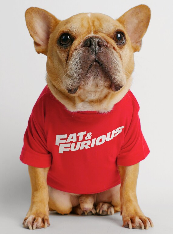Dog Smoking Cigar Frenchie Dad French Bulldog Lovers Shirt Dog Smoking Cigar Frenchie Dad French Bulldog Lovers Shirt