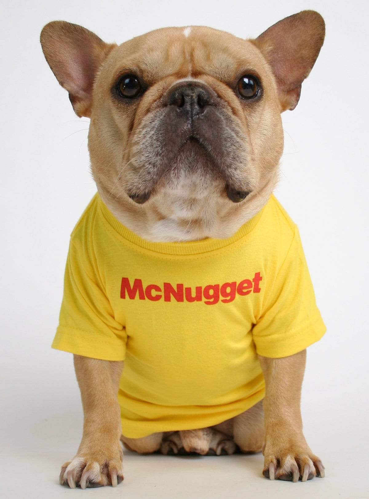 Chicken top nugget dog