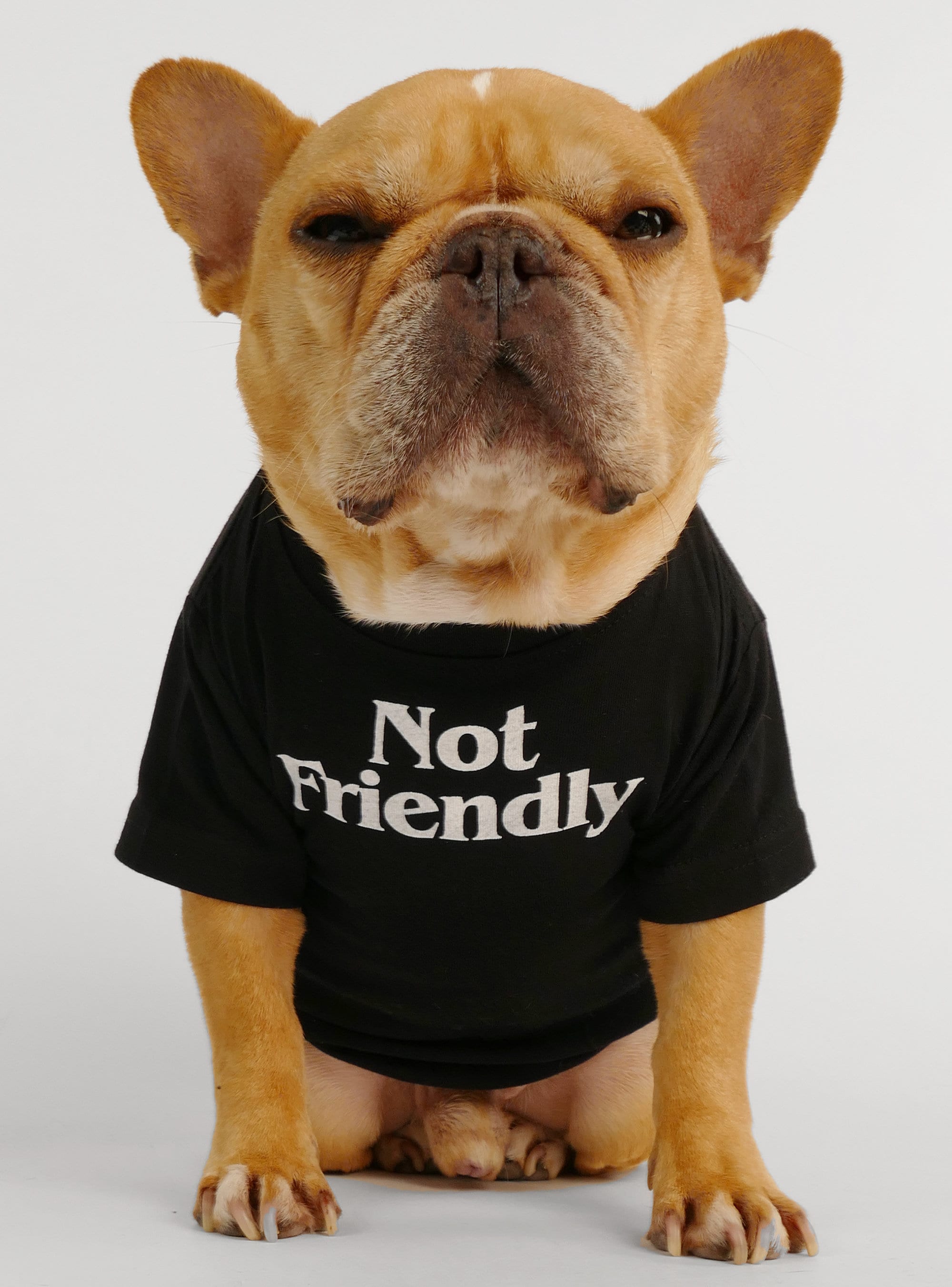 Discover Friendly + Not Friendly 2-Pack Dog Shirt Set - Favorite Funny Gift Dad Mom Frenchie French Bulldog Pug Puppy Pet Cat Dog Jumper Top T-Shirt