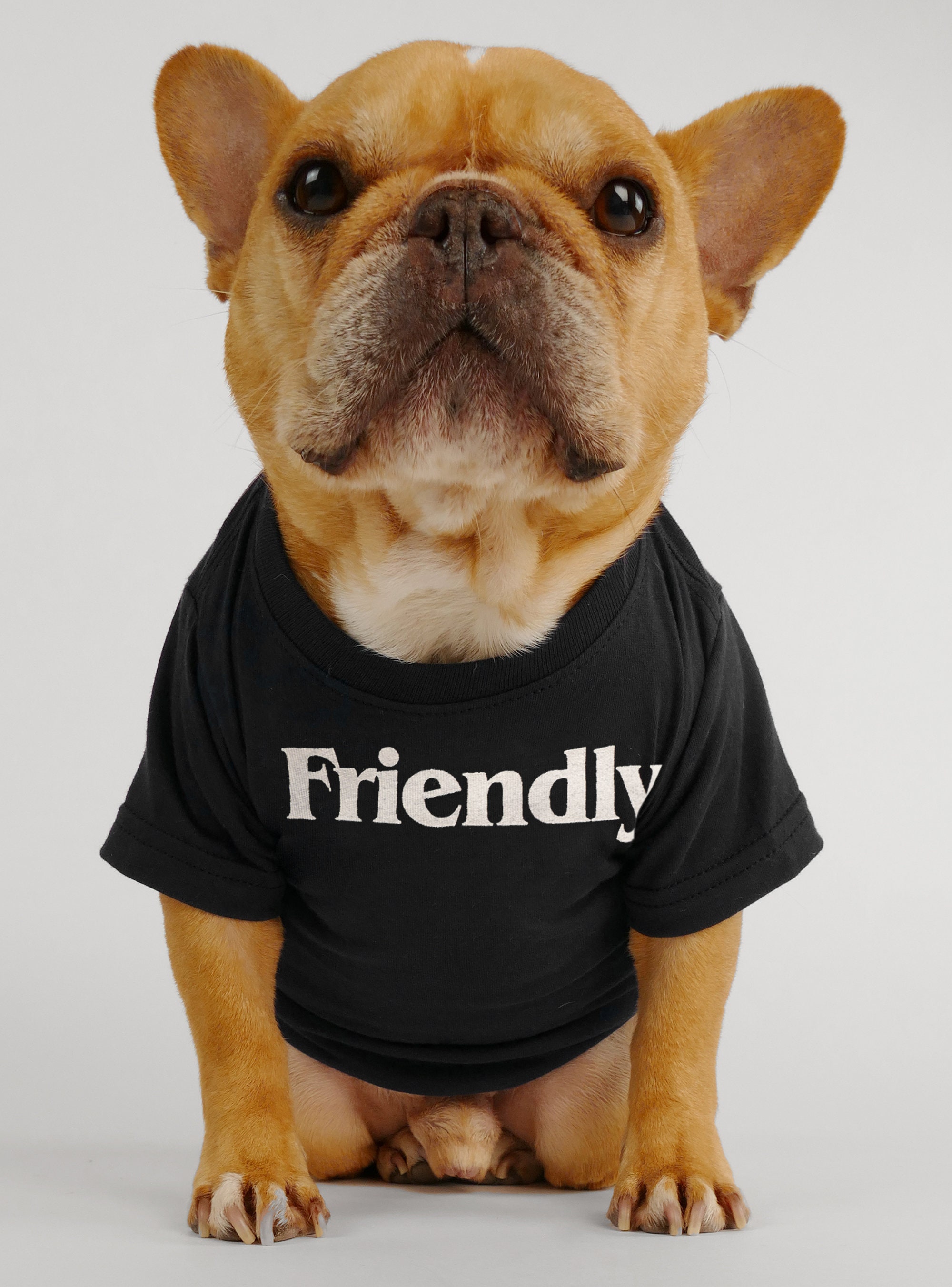 Discover Friendly + Not Friendly 2-Pack Dog Shirt Set - Favorite Funny Gift Dad Mom Frenchie French Bulldog Pug Puppy Pet Cat Dog Jumper Top T-Shirt