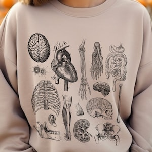 Anatomy Vintage Sweatshirt: Anatomical Art, Unique Medical Illustration, Science Anatomy sweatshirt, resident doctor gifts for preceptors