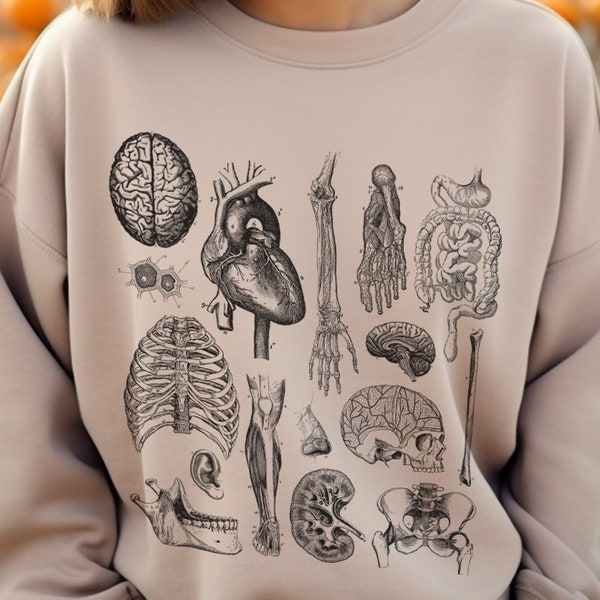 Anatomy Vintage Sweatshirt: Anatomical Art, Unique Medical Illustration, Science Anatomy sweatshirt, resident doctor gifts for preceptors