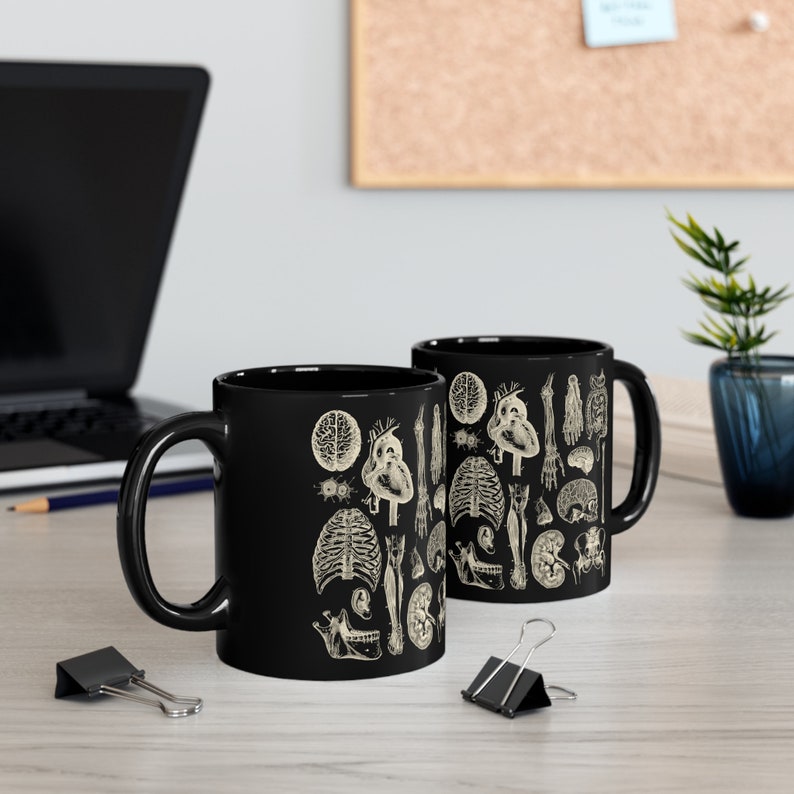 Human Bones Anatomy Mug, Medical Science Anatomical Art, Aesthetics