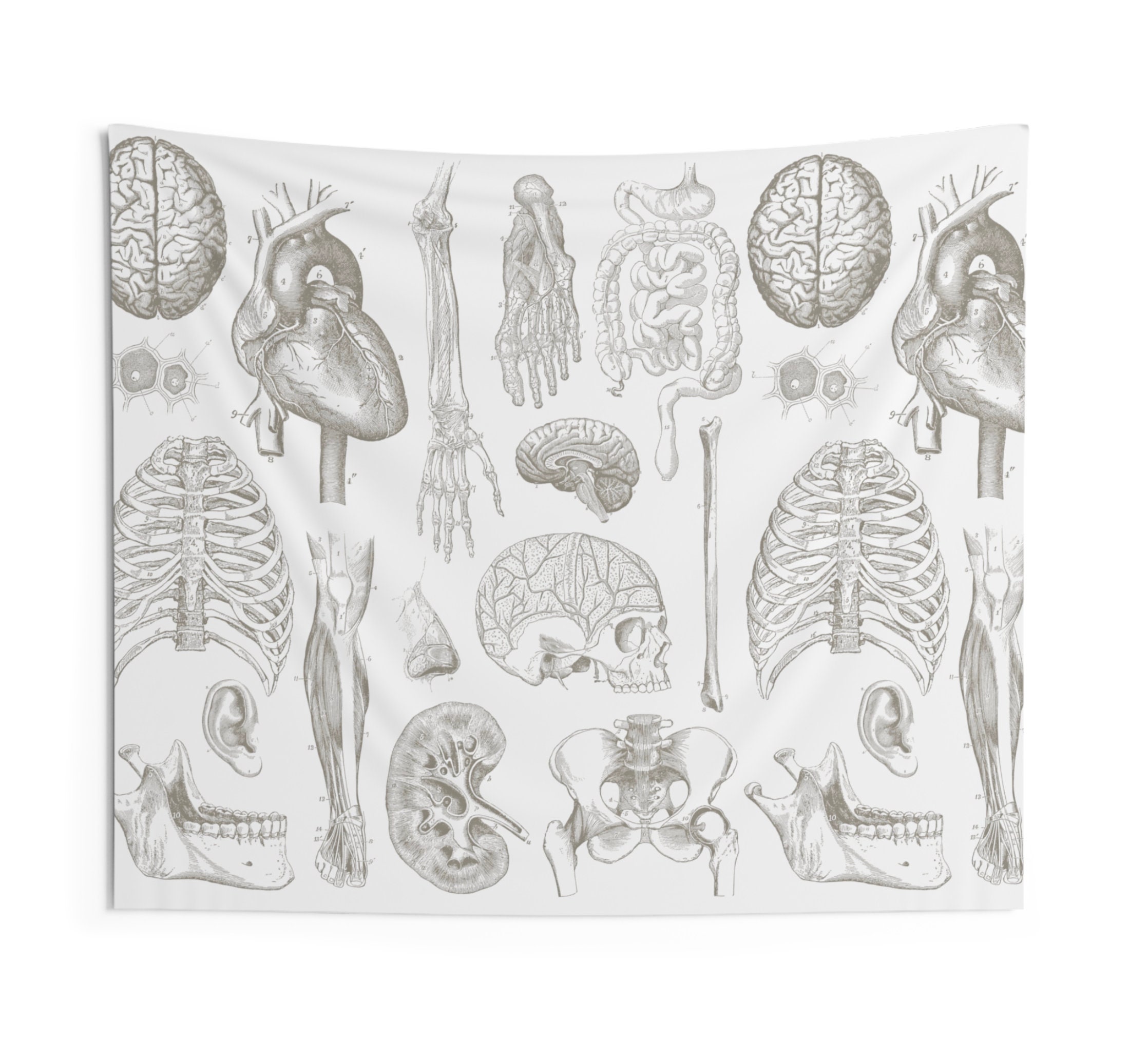 Biology Tapestry Etsy