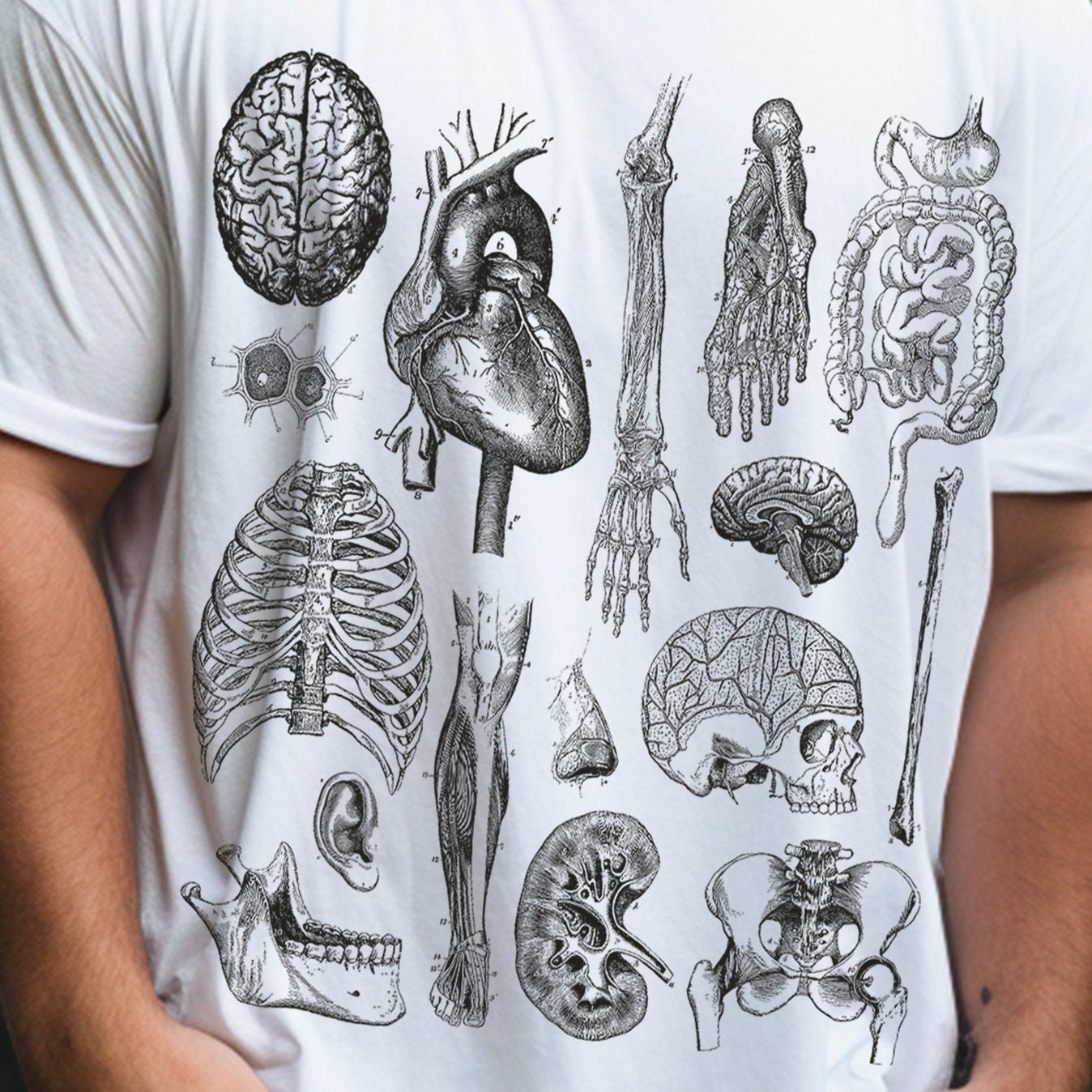 Human Anatomy Tee - Etsy