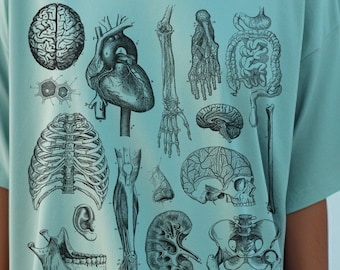 Anatomy Bones Shirt, Medical Human Body Illustration Tee, Gift for Student, Comfort colors T-Shirt, Anatomical Art, Science Anatomy Tee