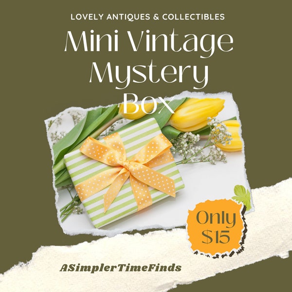 Vintage Mini Themed Mystery Box Grab Bag Small Gifts for Self Surprise Antique Home Décor Thrifted Sustainable Decorating